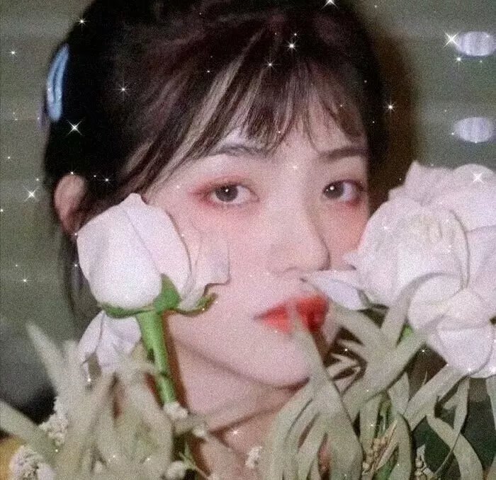 真的假的封面