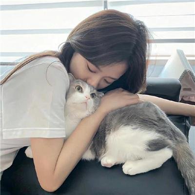 找死来唬秀封面